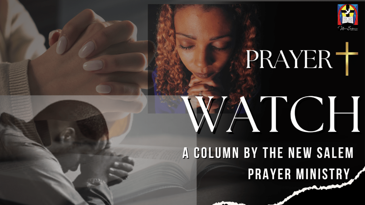 13CE491D-F5E9-4AAC-83D9-FBFD359CCA50